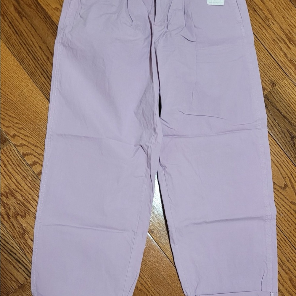 NWT Free People Lavender Pants